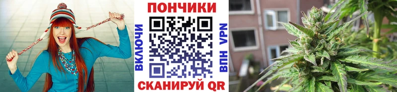 Купить где  Мыски  Канабис планчик 